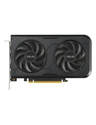 Scheda Video Asus DUAL-RTX5050-O8G 90YV0N72-M0NA00